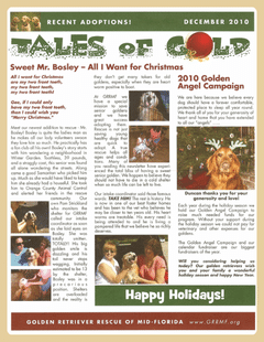 December 2010 newsletter cover