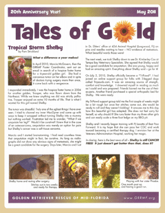 May 2011 newsletter cover