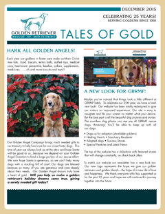 December 2015 newsletter cover