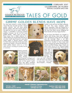 February 2017 newsletter cover