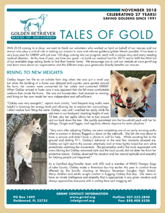 November 2018 newsletter cover