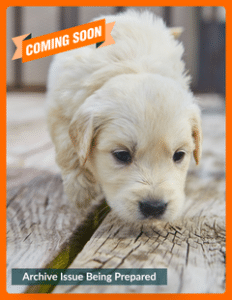 Winter 2004 newsletter coming soon