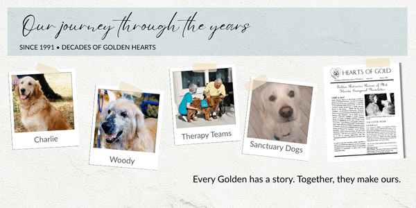 Historical collage of Golden Retriever Rescue of Mid-Florida featuring rescued dogs, therapy teams, sanctuary dogs, and the organization's 1998 newsletter.